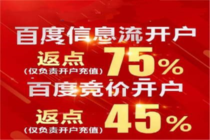 百度推广的精准营销案例解析